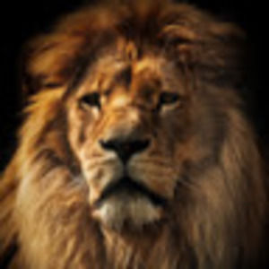 Meet your Posher, Steve